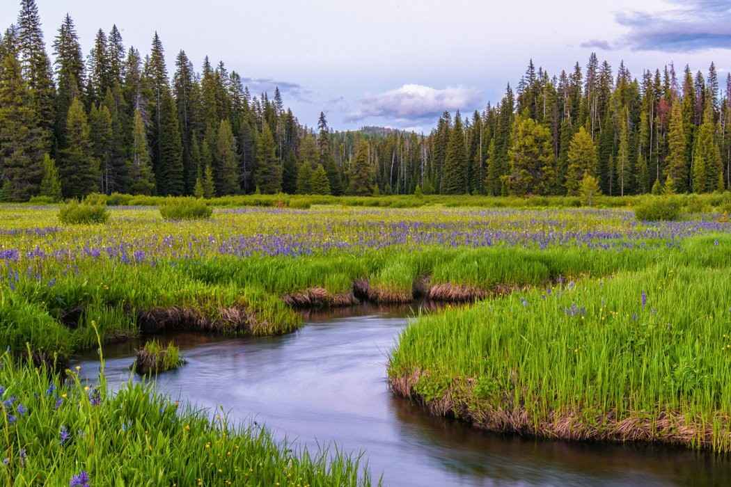Gates of the Rocky Mountains in Montana
