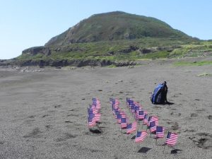 Beach on Iwo Jima with miniature American flags