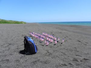 Beach on Iwo Jima with miniature American flags